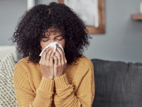 Indoor Air Quality in Greensboro, NC